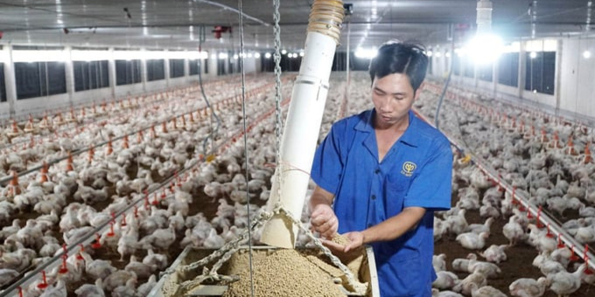 Khoa học công nghệ đưa chăn nuôi Việt Nam nhanh chóng bứt tốc