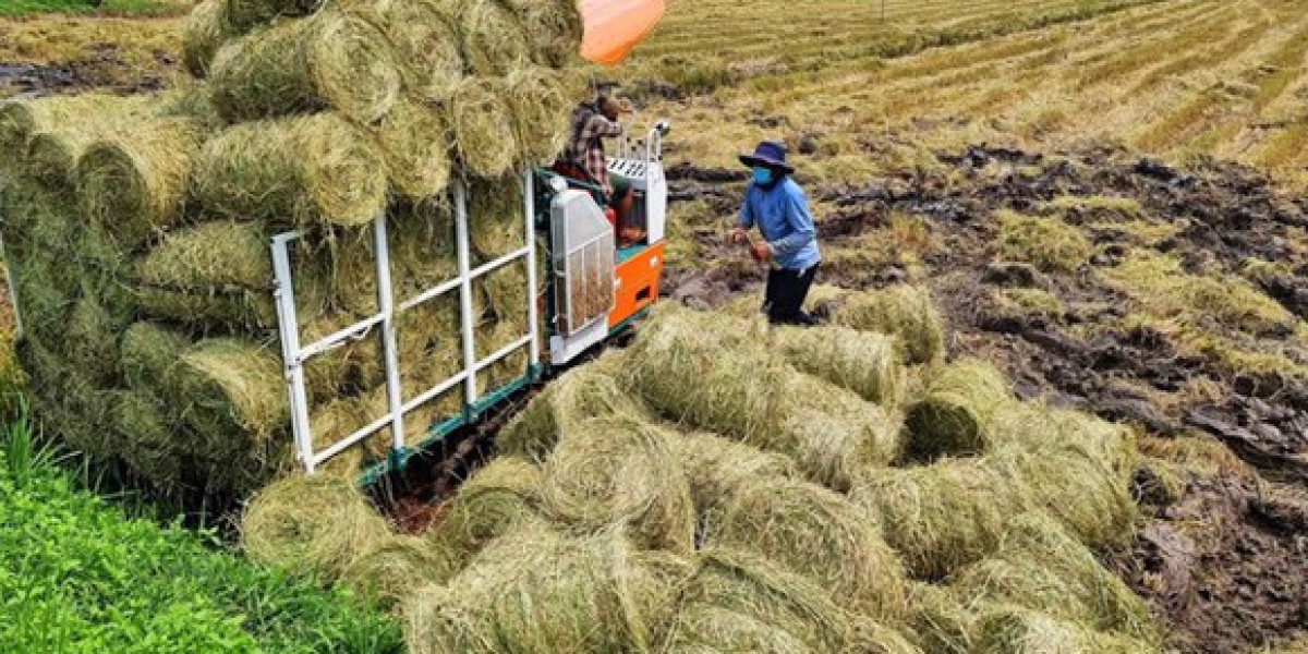 Hệ thống thực phẩm tuần hoàn giúp giảm phát thải khí nhà kính, sử dụng ít đất hơn