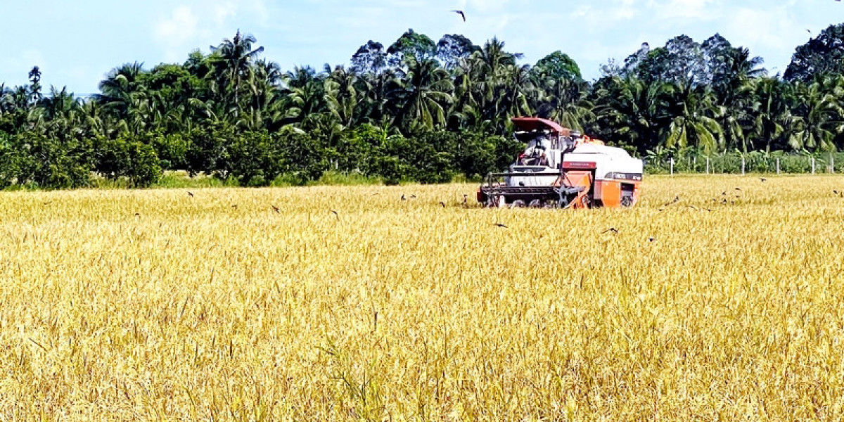 Thúc đẩy phát triển kinh tế tuần hoàn trong nông nghiệp