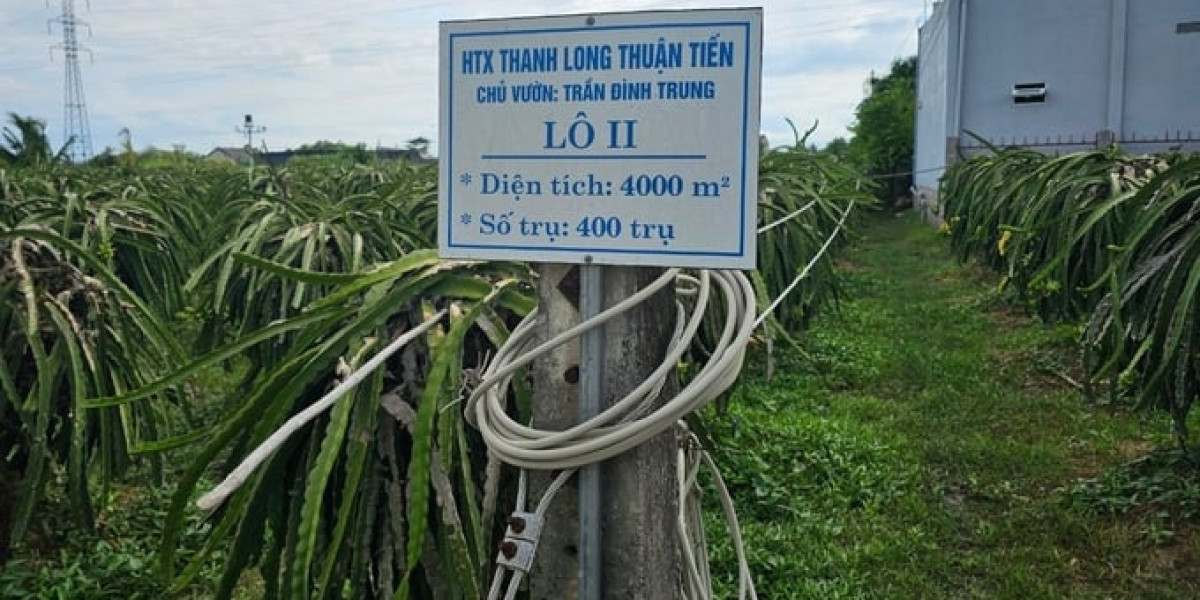 Bình Thuận đã cấp 733 mã số vùng trồng xuất khẩu