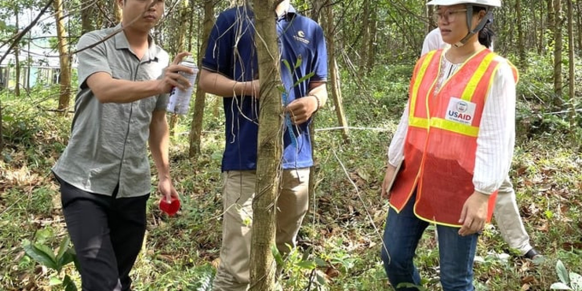 Những cánh rừng đã sẵn sàng với quy định của EUDR