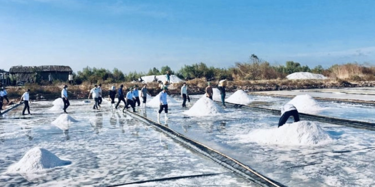 The unique salt producing culture in Bac Lieu