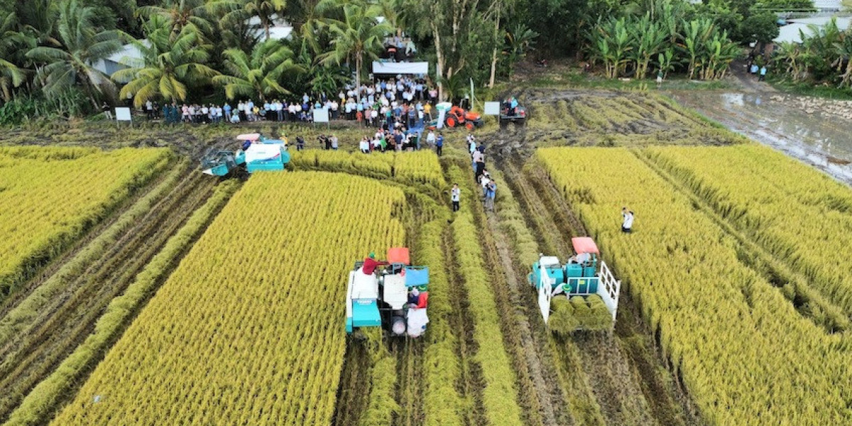 Làm nông nghiệp xanh: Tưởng dễ mà rất khó