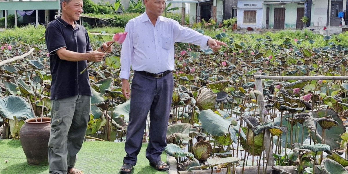 Quảng Nam thúc đẩy liên kết sản xuất và tiêu thụ sản phẩm nông nghiệp