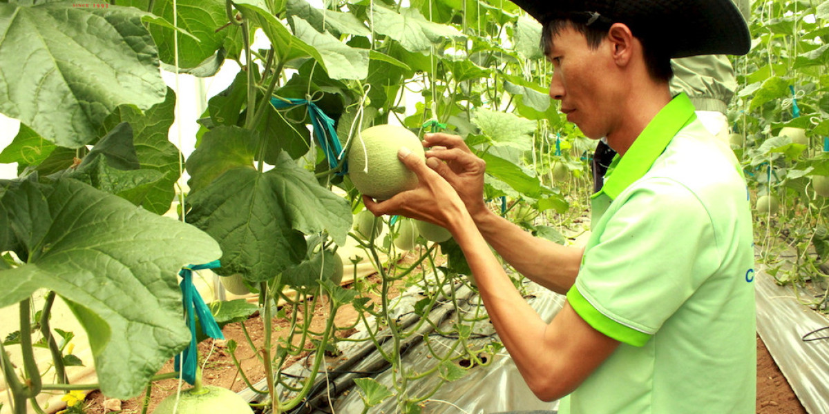 Gỡ khúc mắc để tăng thu hút doanh nghiệp đầu tư vào nông nghiệp xanh