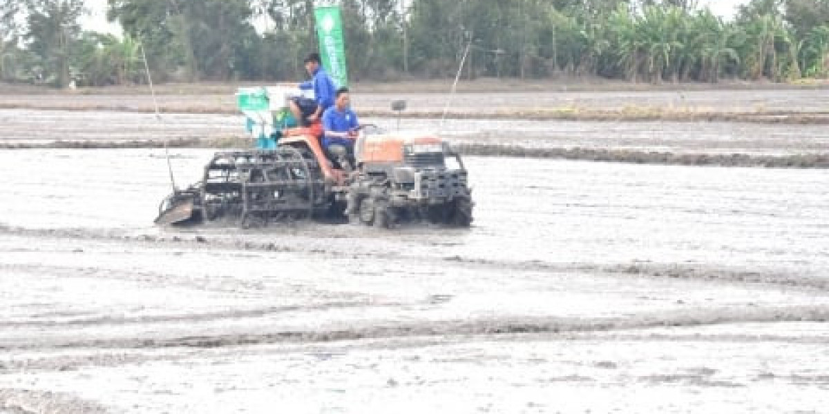 Kiên Giang khởi động Đề án 1 triệu ha lúa chất lượng cao