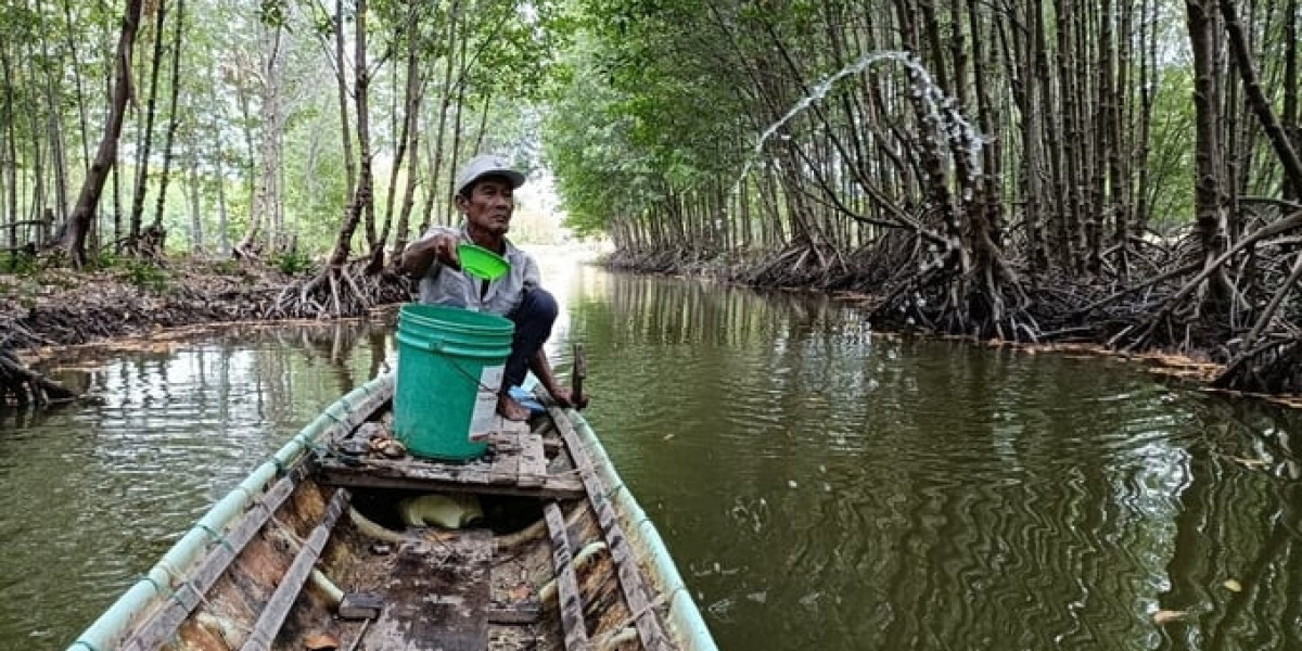 Nuôi cua biển theo hướng VietGAP