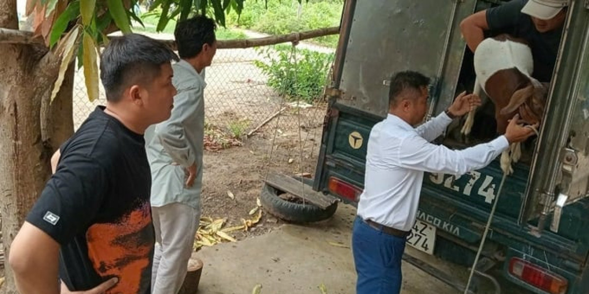 Giống vật nuôi chuyên leo núi giúp nông dân vùng biển thoát nghèo