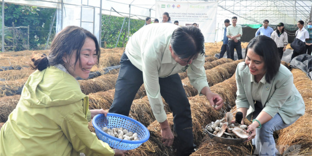 Rice Eco tạo việc làm, tăng thu nhập, giảm phát thải