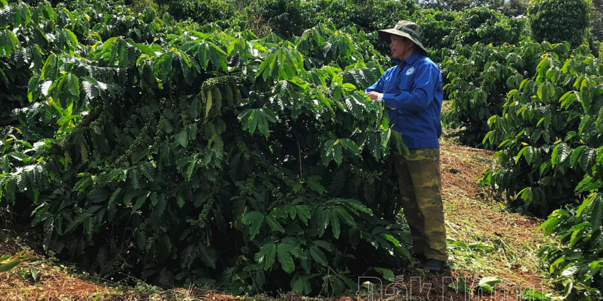 Tiềm năng lớn cho kinh tế tuần hoàn ở Đắk Nông