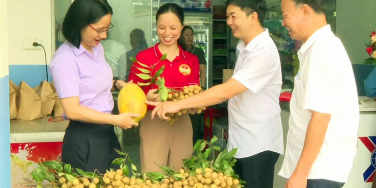 Ra mắt cửa hàng giới thiệu sản phẩm nông nghiệp an toàn ở Chuyên Ngoại