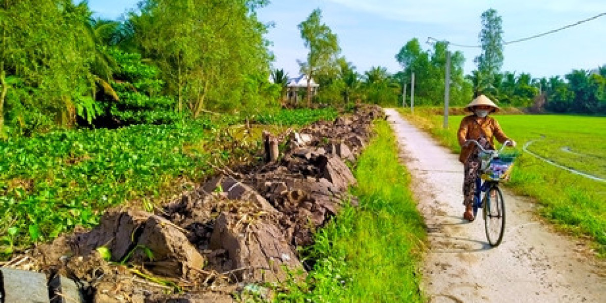 Đảm bảo sản xuất thắng lợi vụ lúa Thu Đông