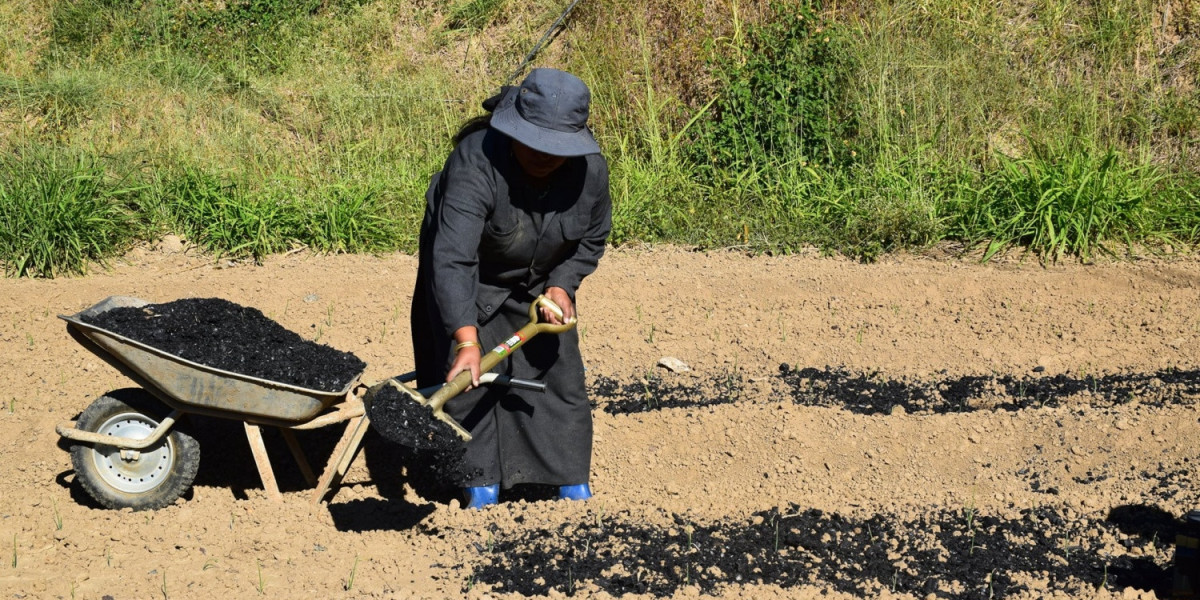 Mô hình lưu trữ carbon mới với các nước đang phát triển