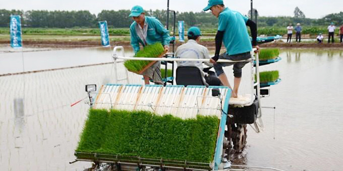 Thúc đẩy cơ giới hóa trong nông nghiệp