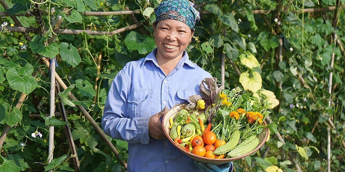 Nghịch lý trong sản xuất nông nghiệp hữu cơ