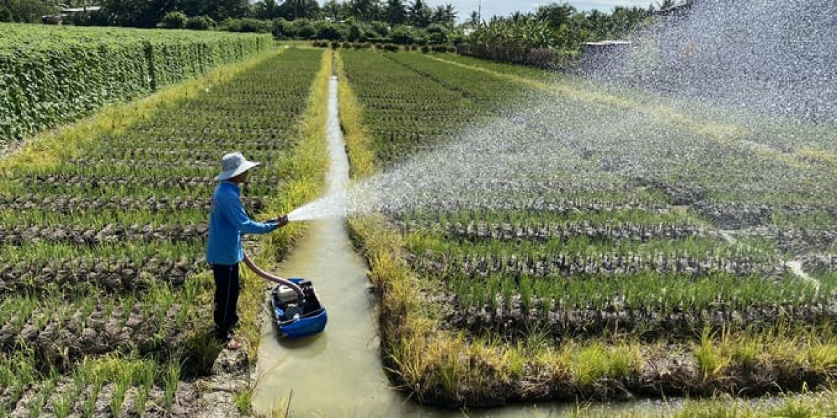 Năng suất lao động nông nghiệp của Việt Nam bằng 40% Thái Lan