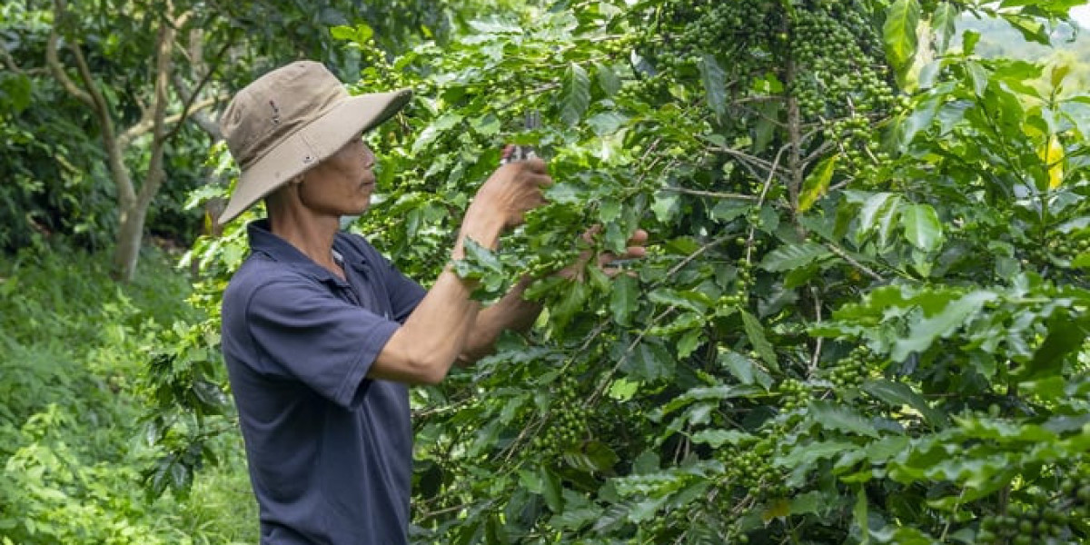 IDH phát triển vùng cảnh quan bền vững, giảm phát thải tại Tây Nguyên