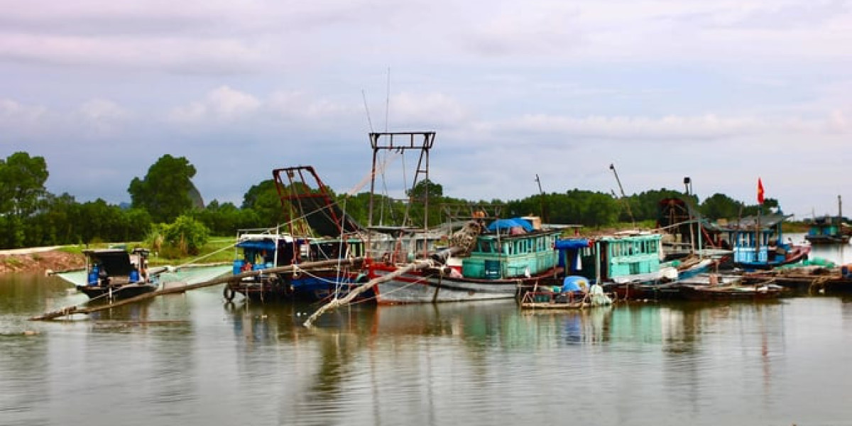 Tàu cá vi phạm khai thác IUU vẫn ngang nhiên hoạt động