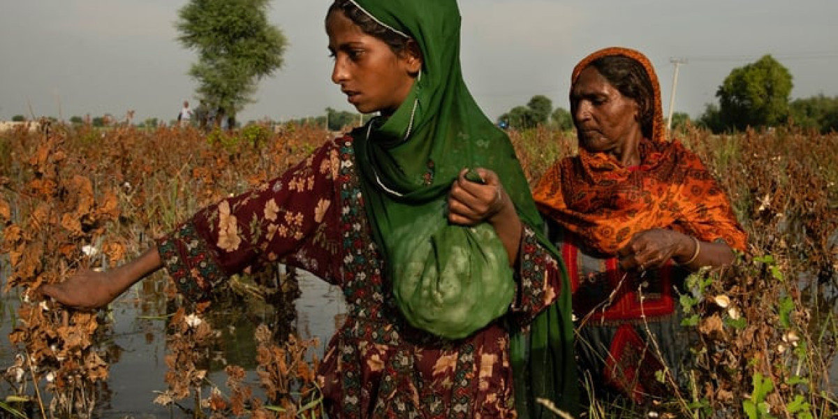 Pakistan đưa ra sáng kiến để bảo vệ quyền lợi của phụ nữ làm nông