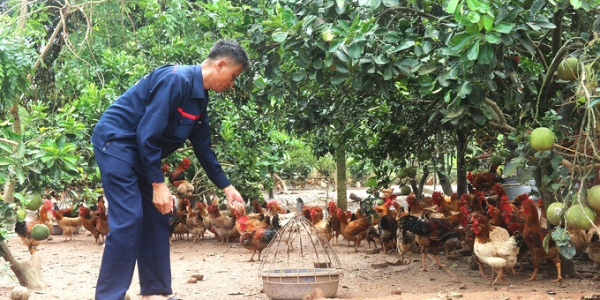 Chăn nuôi an toàn sinh học, bảo vệ sức khỏe đàn vật nuôi