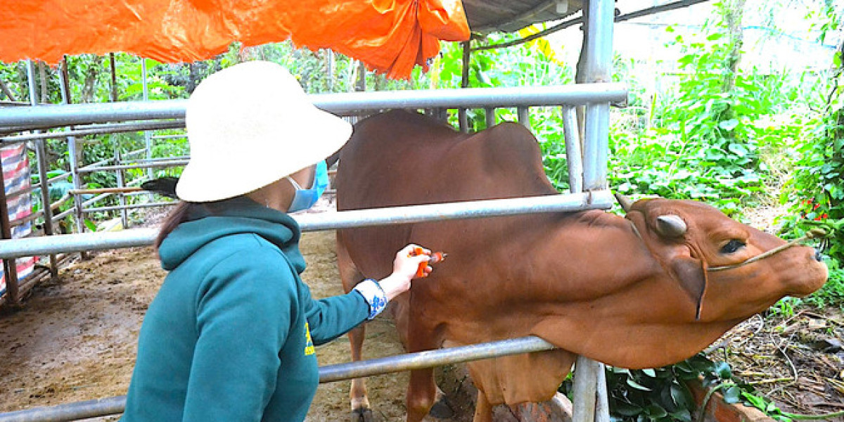 Tạo nền tảng phát triển ngành chăn nuôi bền vững