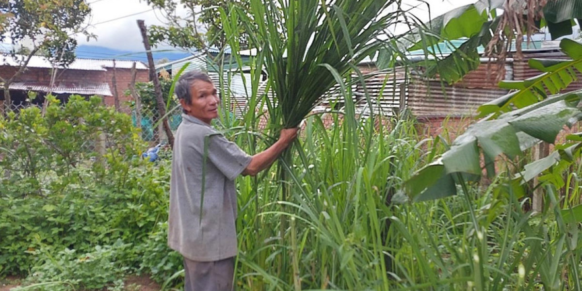 Chư Păh quan tâm tạo sinh kế cho hộ nghèo