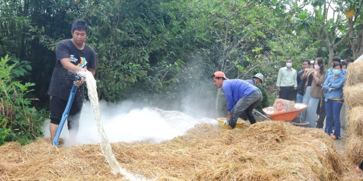 Tập huấn kỹ thuật sản xuất nấm rơm, phân compost từ rơm rạ