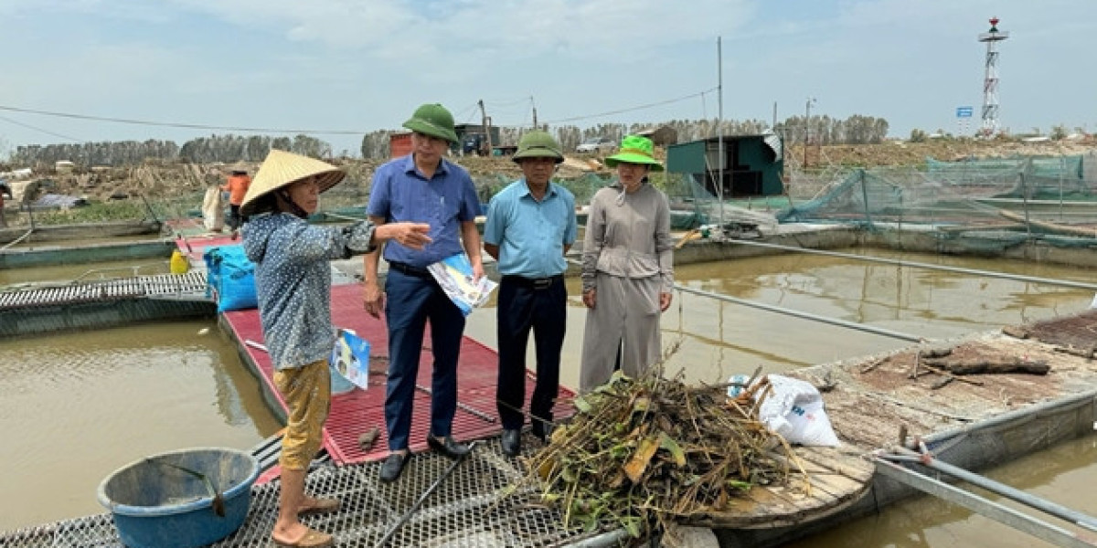 Thủ tướng chỉ đạo nhanh chóng khôi phục hoạt động sản xuất nông, lâm, thủy sản sau bão, lũ