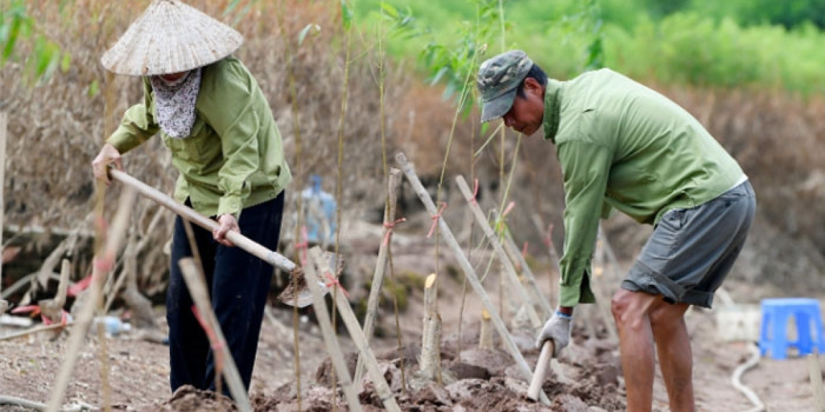 Thúc đẩy sản xuất nông sản dịp cuối năm