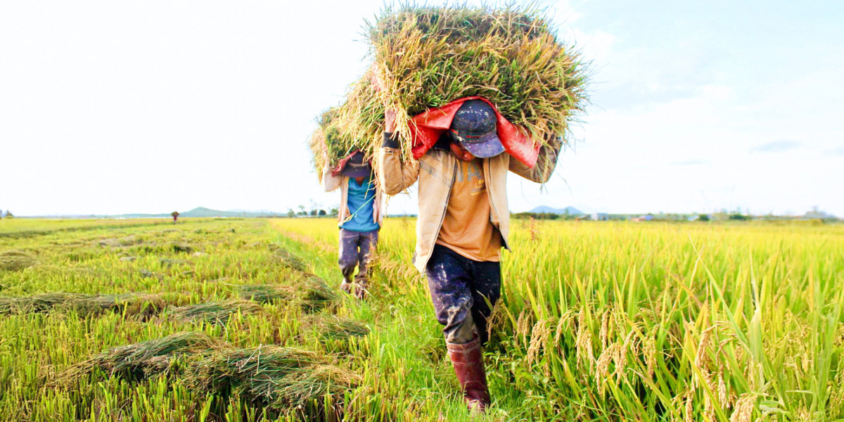 Tăng trưởng ngành Nông nghiệp chưa đạt kỳ vọng