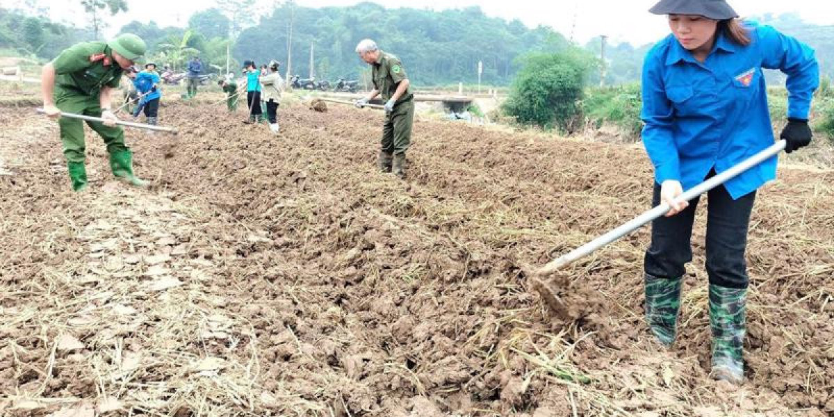 Thủ tướng yêu cầu ngành nông nghiệp đẩy nhanh phục hồi sản xuất