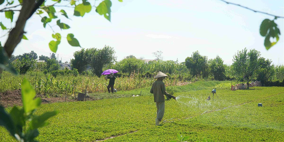 Bộ Tài chính phản hồi đề xuất giảm thuế GTGT với vật tư nông nghiệp, điện nước