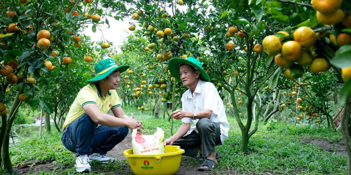 Đưa phân bón vào đối tượng chịu thuế GTGT mang lại lợi ích cho ngành nông nghiệp và nông dân