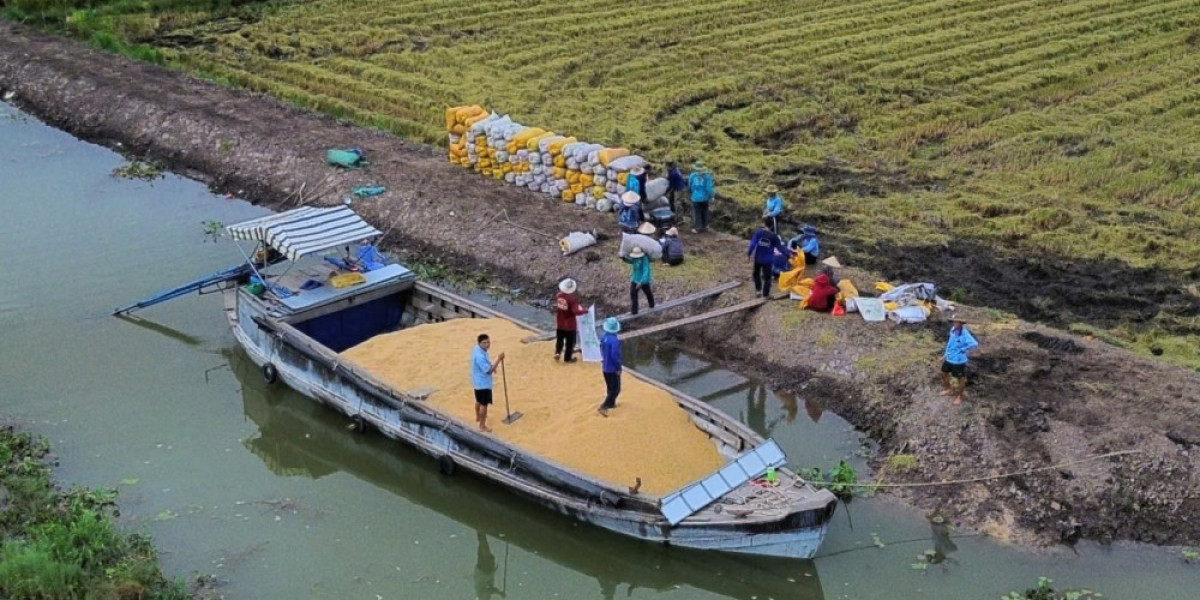 Vụ mùa bội thu