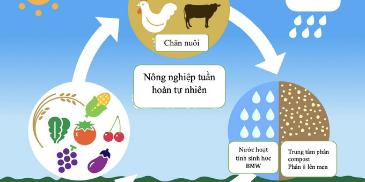 Công nghệ biến nước thải hữu cơ thành 'nước tốt cho động vật'