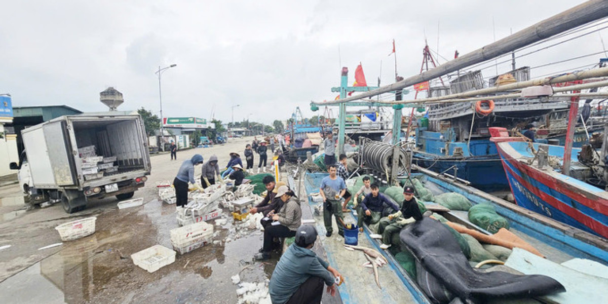 Cảng cá sửa chữa kéo dài, ngư dân Quảng Bình đôn đáo tìm nơi cập bến