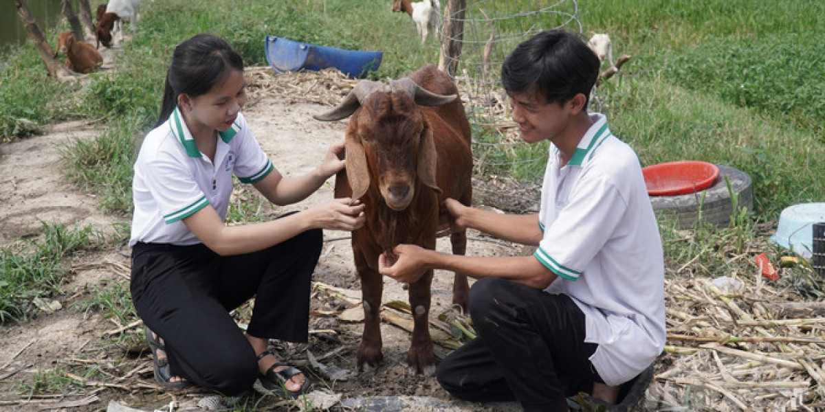 Nâng cao chất lượng đào tạo ngành chăn nuôi thú y: [Bài 1] Chuyện khởi nghiệp của chàng sinh viên Nông học