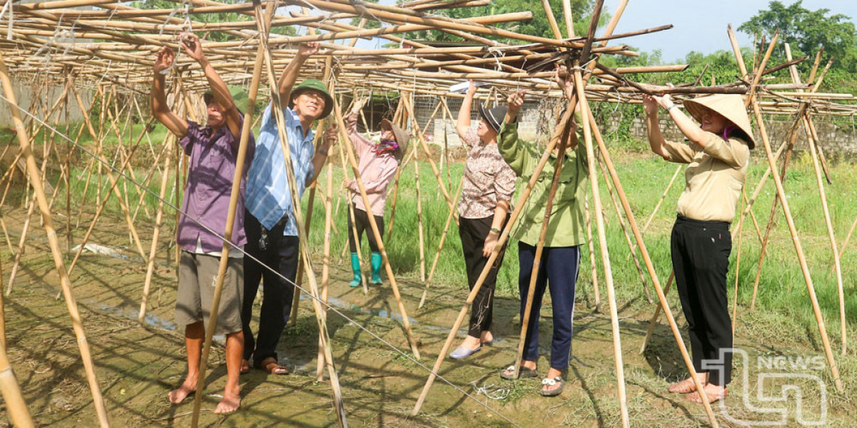 Thái Nguyên: Thành lập mới 34 hợp tác xã nông nghiệp