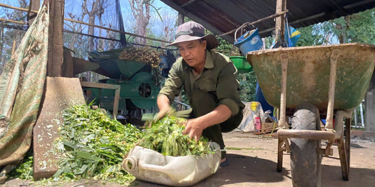 Nuôi hươu kết hợp trồng tiêu