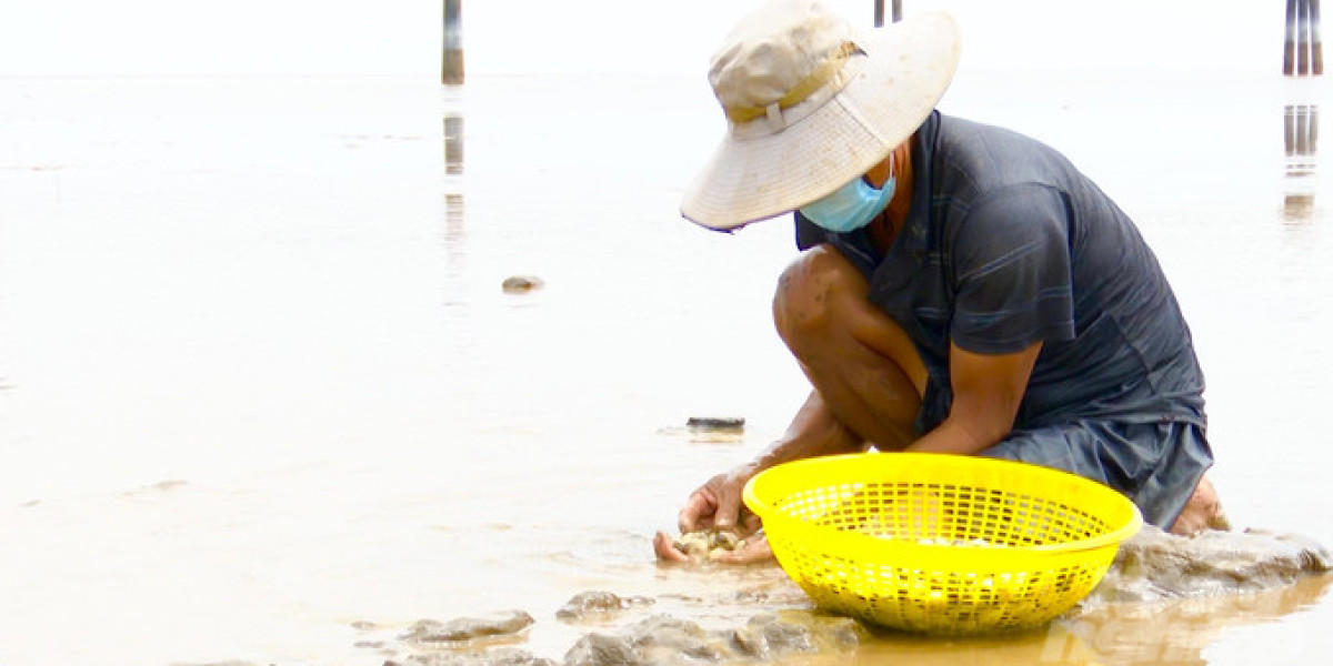 Trà Vinh: 65.000ha đất thủy sản ven biển, bãi bồi chờ nhà đầu tư