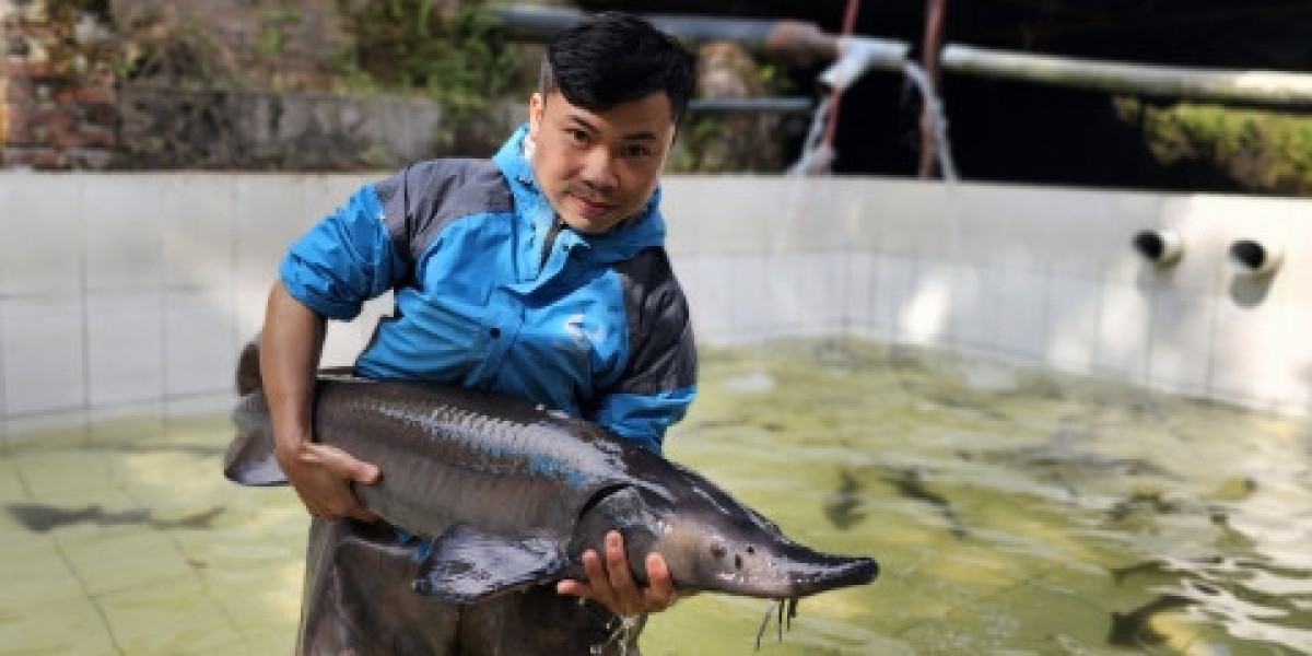 Một số nơi phát triển nóng nuôi cá nước lạnh