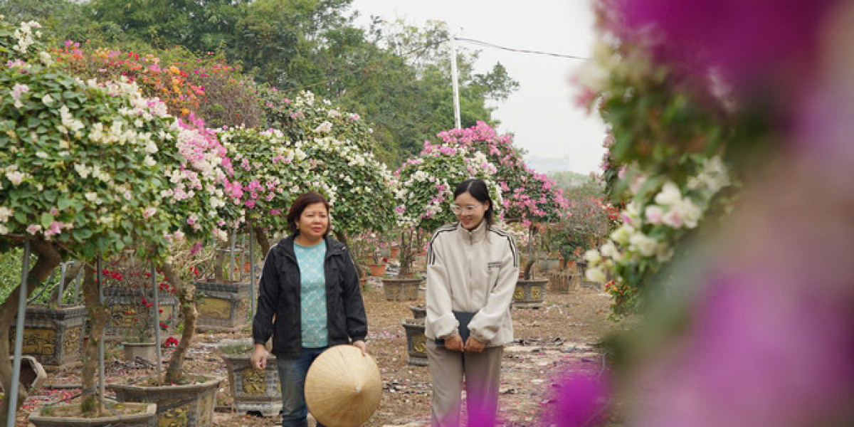 Làng hoa giấy Phù Đổng vươn lên từ nỗi lo ô nhiễm