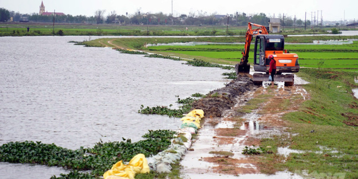 Trên 3,5 nghìn ha lúa đông xuân bị ngập úng