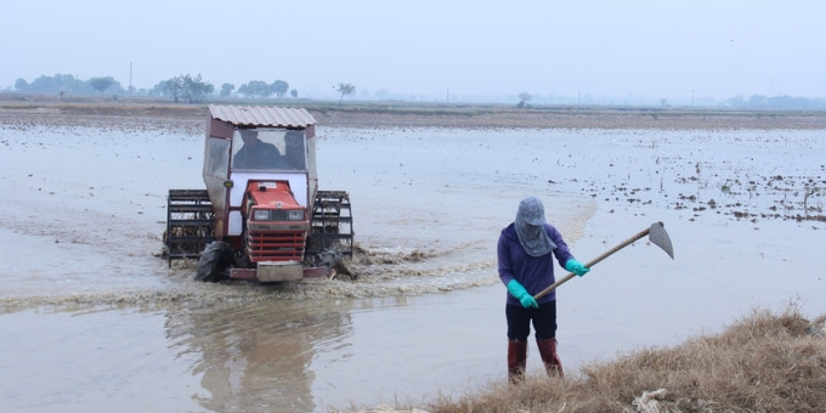 Gần 433.000 ha có nước sau ngày đầu tiên đợt 2 lấy nước đổ ải