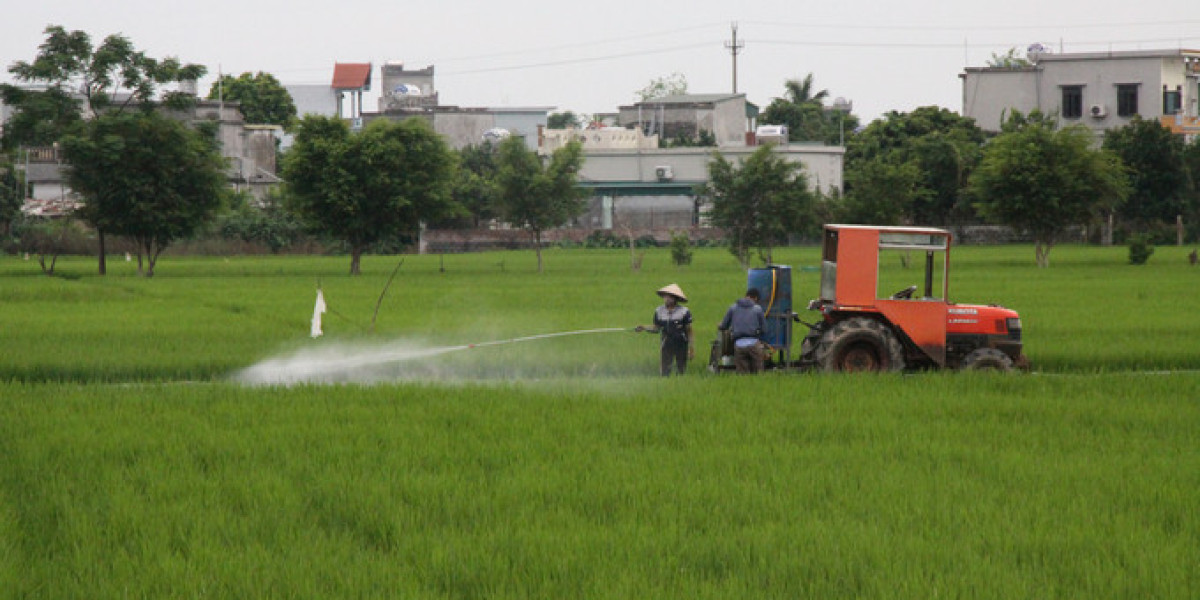 Chủ động phương án phòng chống sinh vật gây hại cây trồng