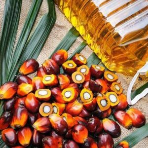 Exporters of Sunflower oil | Buy Sunflower Oil Online