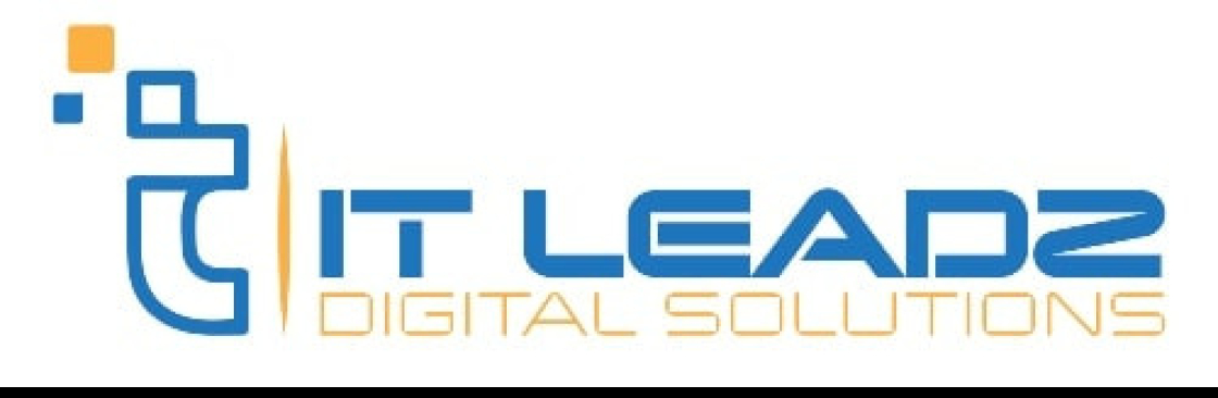 IT Leadz Cover Image