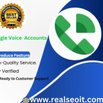 Buy Google Voice Accounts Profile Picture