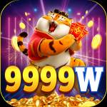 9999w 9999w Profile Picture