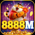 8888m 8888m Profile Picture